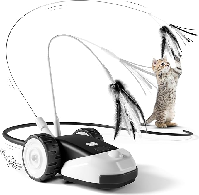 CatMouse™ | Speel Zelfstandig Terwijl Jij Weg Bent.