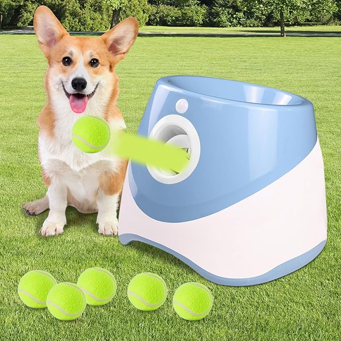 DogLaunch™ | Waar Plezier en Ontwikkeling Samenkomen.