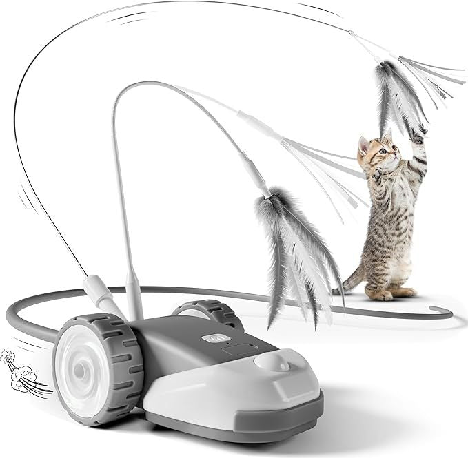 CatMouse™ | Speel Zelfstandig Terwijl Jij Weg Bent.