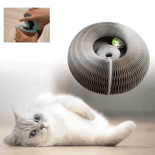Catplay™ | Het ultieme speeltje om je kat bezig te houden!